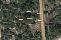 Undeveloped Land for sale in Leon County, Texas
