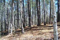 Undeveloped Land for sale in Richland County, South Carolina