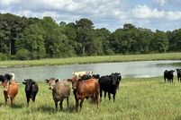 Residential Property for sale in Okaloosa County, Florida