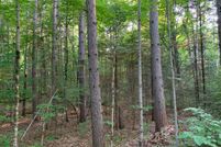 Undeveloped Land for sale in Vilas County, Wisconsin