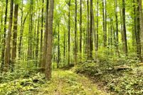 Farm Property for sale in Albemarle County, Virginia
