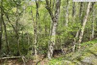 Undeveloped Land for sale in Avery County, North Carolina