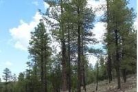 Property for sale in Navajo County, Arizona