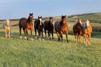 Property for sale in Bennett County, South Dakota