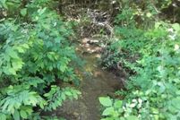 Property for sale in Polk County, Arkansas