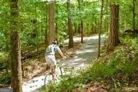 Undeveloped Land for sale in Troup County, Georgia