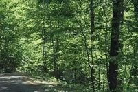 Property for sale in Towns County, Georgia