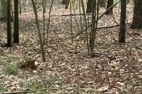Farm Property for sale in Morgan County, Georgia