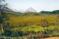 Undeveloped Land for sale in Matanuska-Susitna Borough, Alaska