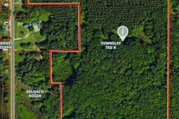 Undeveloped Land for sale in Clare County, Michigan