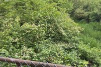 Property for sale in Marion County, Indiana