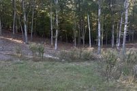 Property for sale in Fannin County, Georgia