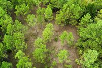 Undeveloped Land for sale in Tippah County, Mississippi