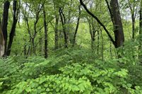 Ranch Property for sale in New Haven County, Connecticut