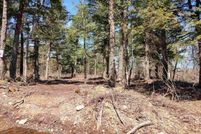 Timberland Property for sale in Baraga County, Michigan