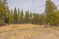 Property for sale in Park County, Colorado
