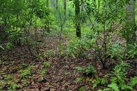 Property for sale in Watauga County, North Carolina