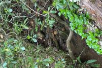 Lakefront Property for sale in Macon County, North Carolina