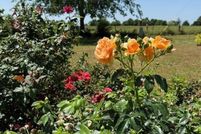 Farm Property for sale in Hopkins County, Texas