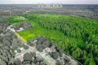 Undeveloped Land for sale in Pierce County, Georgia