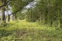 Undeveloped Land for sale in Rankin County, Mississippi