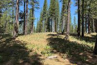 Property for sale in Plumas County, California