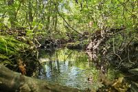 Undeveloped Land for sale in Stone County, Arkansas