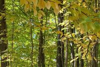 Farm Property for sale in Lincoln County, Wisconsin