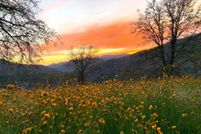 Ranch Property for sale in Tulare County, California