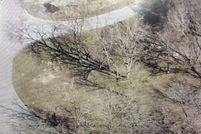 Property for sale in White County, Arkansas