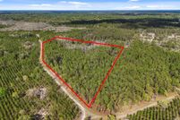 Undeveloped Land for sale in Gilchrist County, Florida