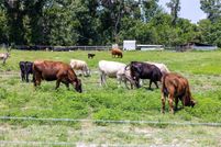 Farm Property for sale in Pasco County, Florida
