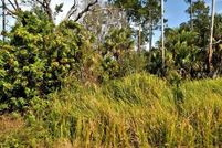 Property for sale in Sarasota County, Florida