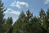 Property for sale in Oneida County, Wisconsin