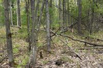 Property for sale in Grand Traverse County, Michigan