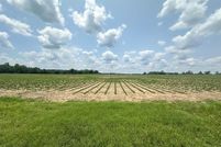 Property for sale in Geneva County, Alabama