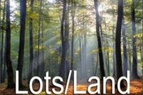 Property for sale in Charlotte County, Virginia