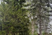 Property for sale in Saginaw County, Michigan