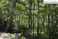 Undeveloped Land for sale in Alleghany County, North Carolina