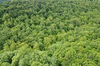 Recreational Property for sale in Roane County, West Virginia
