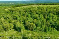 Undeveloped Land for sale in Garrett County, Maryland