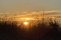 Property for sale in Bedford County, Virginia