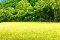 Undeveloped Land for sale in Hancock County, Tennessee