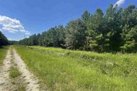 Undeveloped Land for sale in Marlboro County, South Carolina