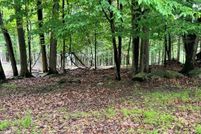 Undeveloped Land for sale in Wayne County, Pennsylvania