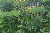 Property for sale in Macon County, Alabama