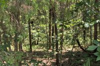 Property for sale in Barry County, Missouri