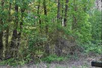 Undeveloped Land for sale in Gwinnett County, Georgia