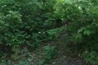 Property for sale in Orange County, New York