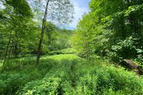 Undeveloped Land for sale in Delaware County, New York